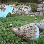 Πανσιόν The Duck's Φέλτρε