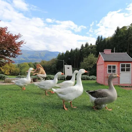 The Duck's 招待所 费尔特雷