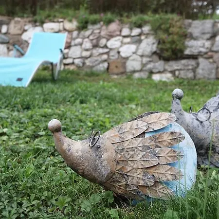 Gæstehus The Duck's Feltre