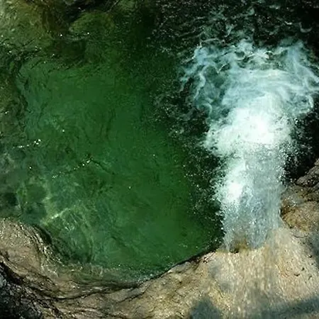 The Duck's Feltre
