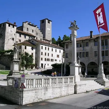 The Duck's Feltre