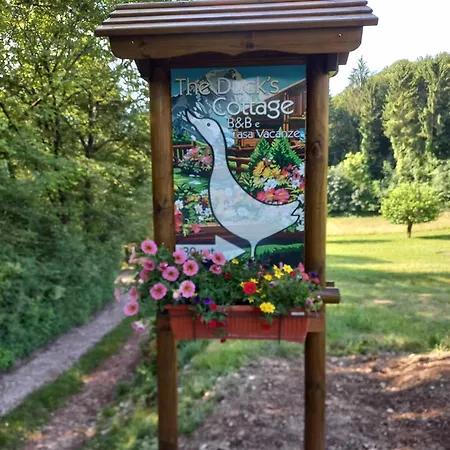 Gæstehus The Duck's 3*