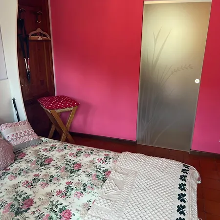 The Duck's 费尔特雷