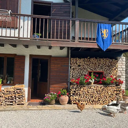 招待所 The Duck's 费尔特雷