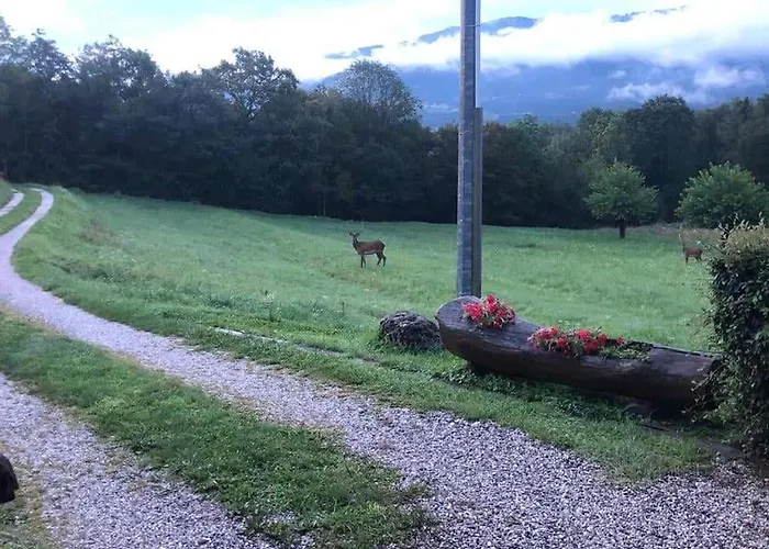 The Duck's Penzion 3*