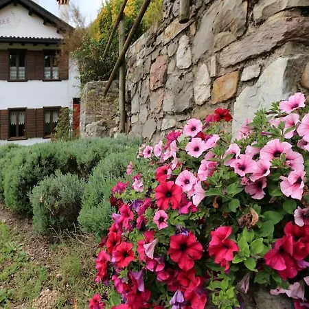 The Duck's Gasthuis Feltre