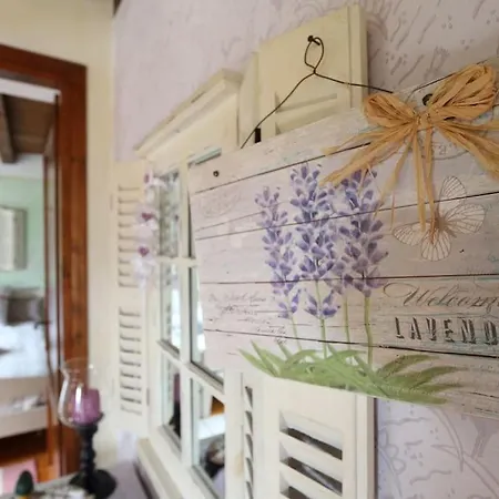 The Duck's فيلتري