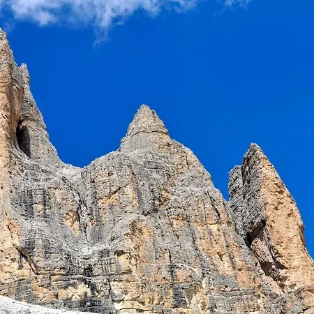 The Duck's 3* فيلتري