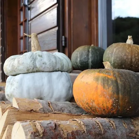 The Duck's بيت ضيافة 3*