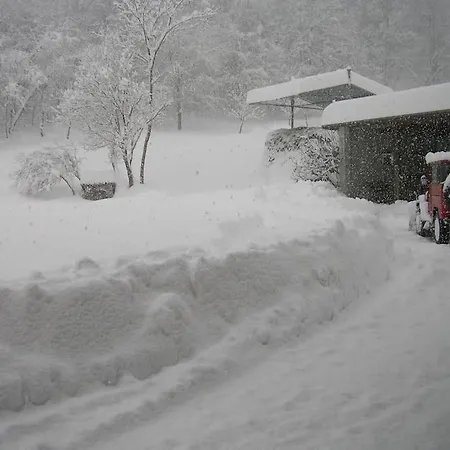 بيت ضيافة The Duck's