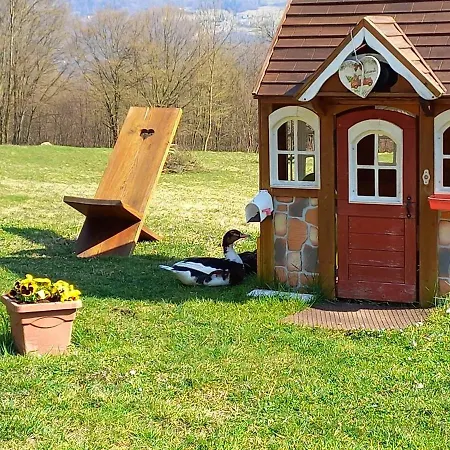 بيت ضيافة The Duck's 3*