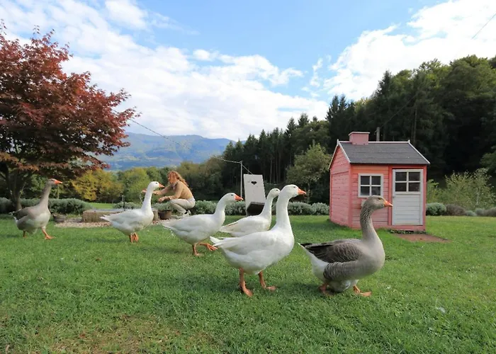 The Duck's بيت ضيافة فيلتري