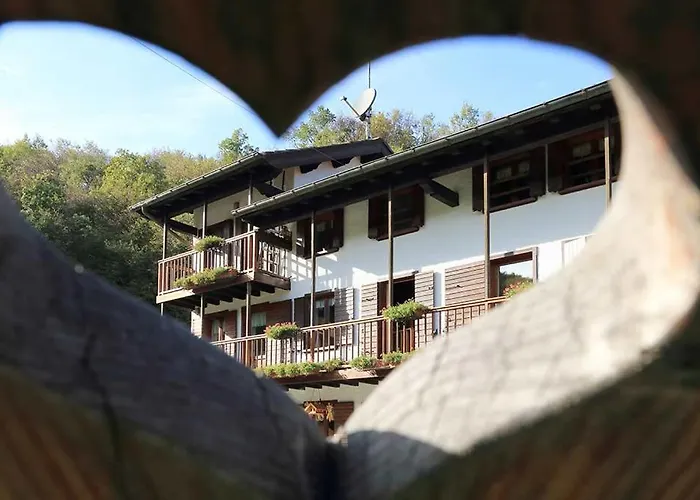 The Duck's