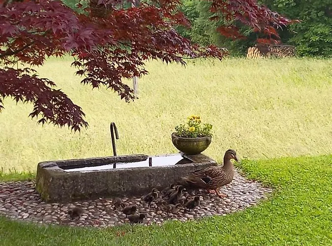 Guest house The Duck's 3*