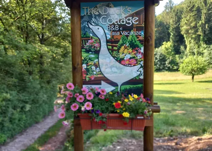 Guest house The Duck's 3*