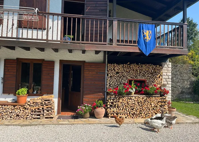 Guest house The Duck's Feltre